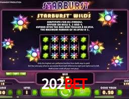 Basketball Betting 202bet