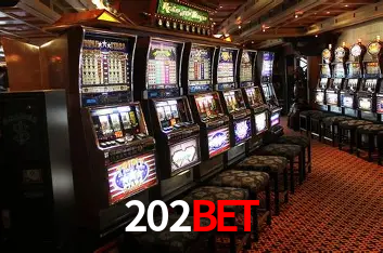 202bet - User Statistics